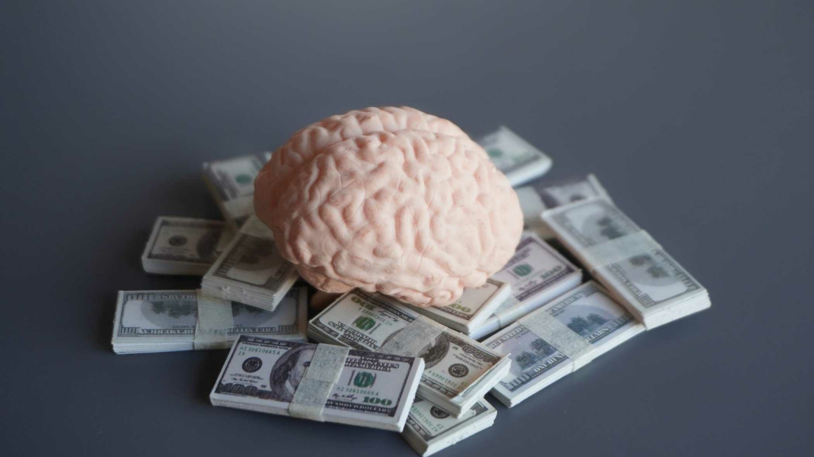 Closeup image of brain and money. Business mindset, investing money in education concept