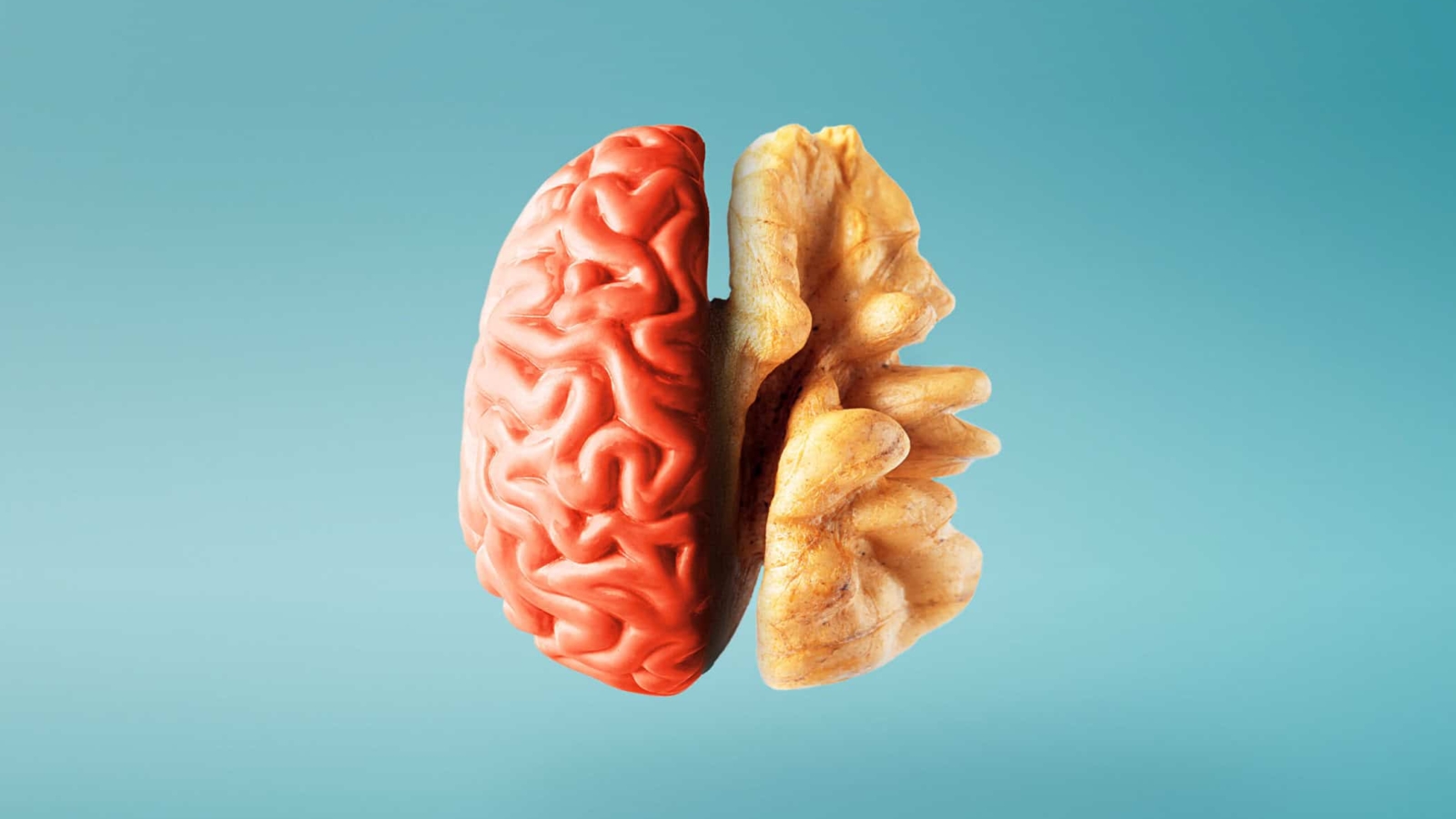 Creative concept of a healthy brain on a blue background. Close-up.